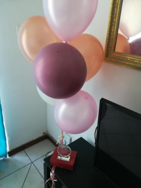 Holiday Accommodation For Rental